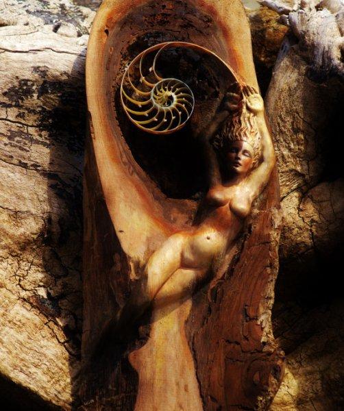 Heykeltraş  Debra Bernier'dan muhteşem çalışmalar 