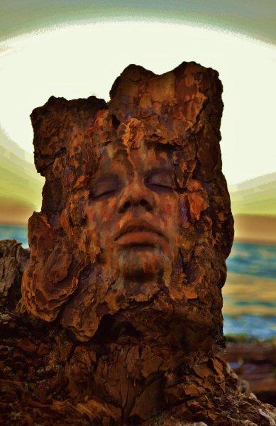 Heykeltraş  Debra Bernier'dan muhteşem çalışmalar 