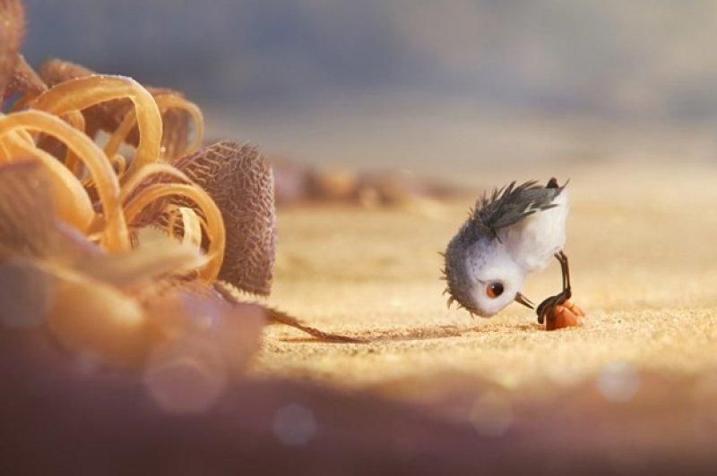 2017 Oscar ödüllerini kazananlar