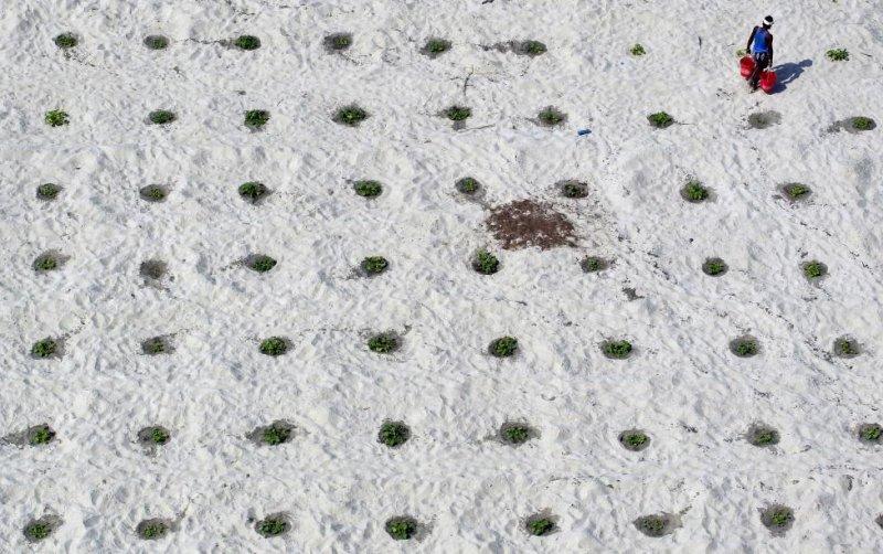 Yılın çevre fotoğrafları