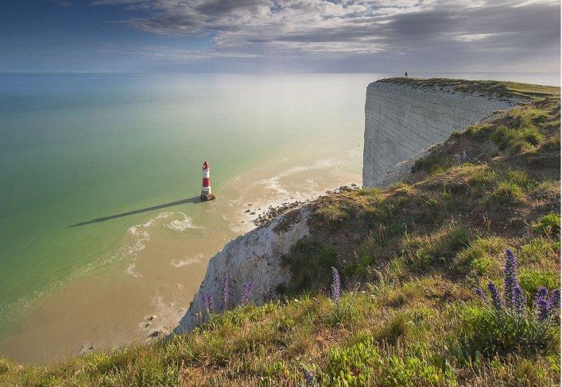 Yılın çevre fotoğrafları