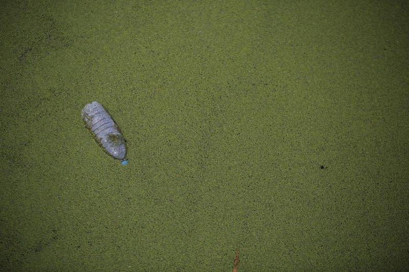 Yılın çevre fotoğrafları