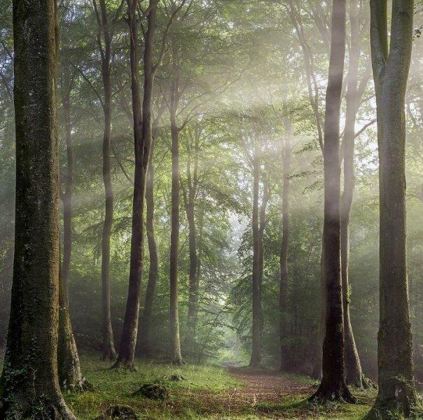 Yılın çevre fotoğrafları