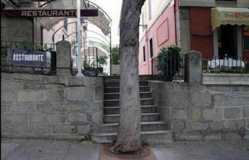 Görenleri şaşkına çeviren komik hatalar