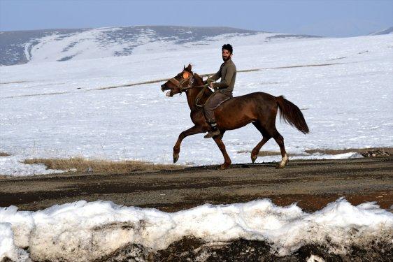 Kars'ta atlar bahar idmanında