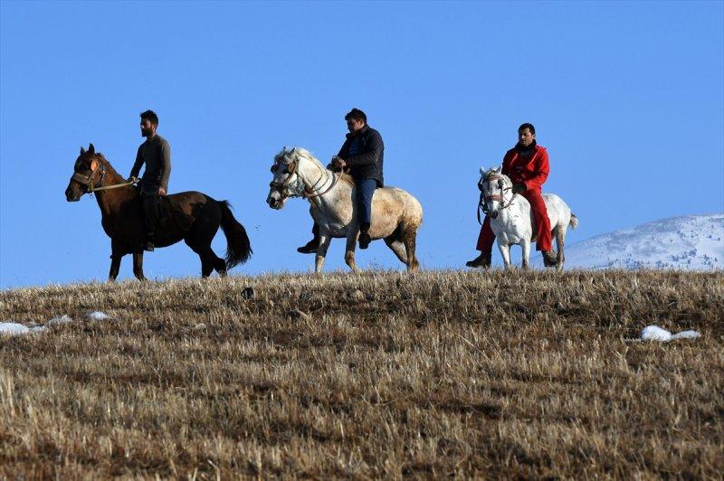 Kars'ta atlar bahar idmanında