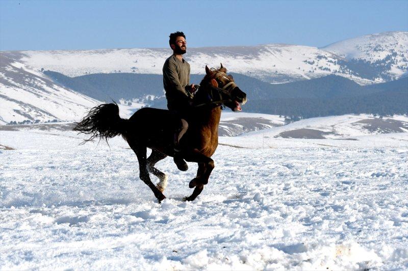 Kars'ta atlar bahar idmanında