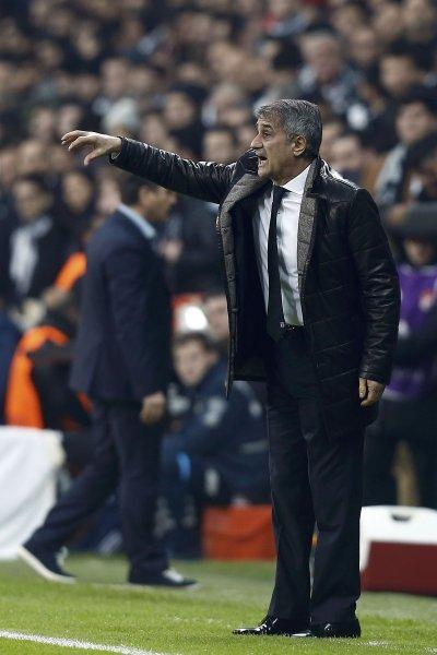 Beşiktaş'ın Olympiakos zaferinden kareler