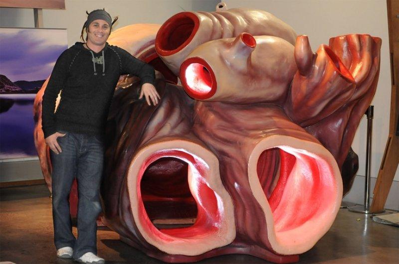 Mavi balinanın dev kalbi