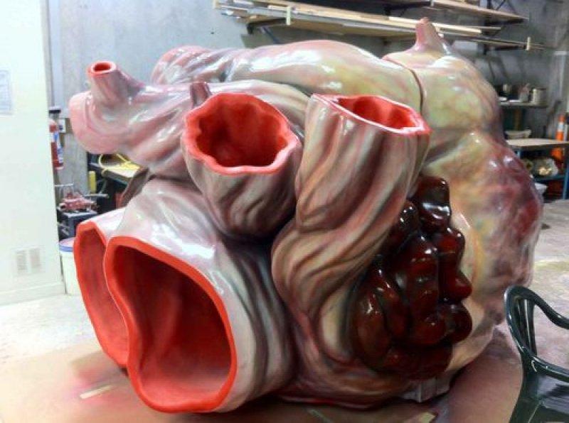 Mavi balinanın dev kalbi