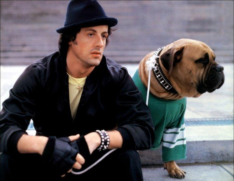 Sylvester Stallone Rocky için yaptığı ölümcül diyeti açıkladı 