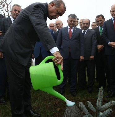 Cumhurbaşkanı'nın resmi fotoğrafçısından özel kareler