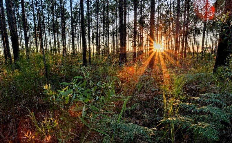 Nefes kesen doğa fotoğrafları 