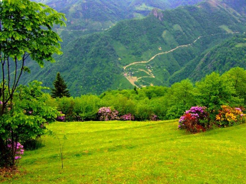 Nefes kesen doğa fotoğrafları 