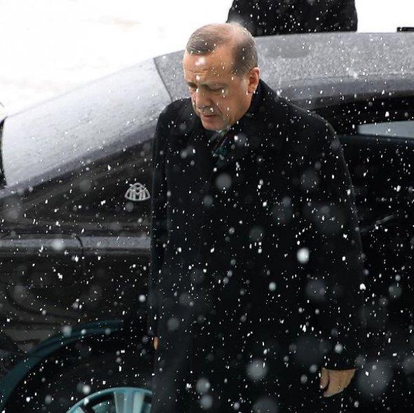 Cumhurbaşkanı'nın resmi fotoğrafçısından özel kareler