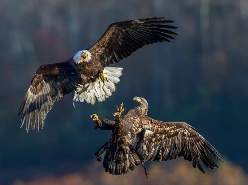 Nefes kesen doğa fotoğrafları 