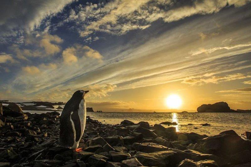 Nefes kesen doğa fotoğrafları 