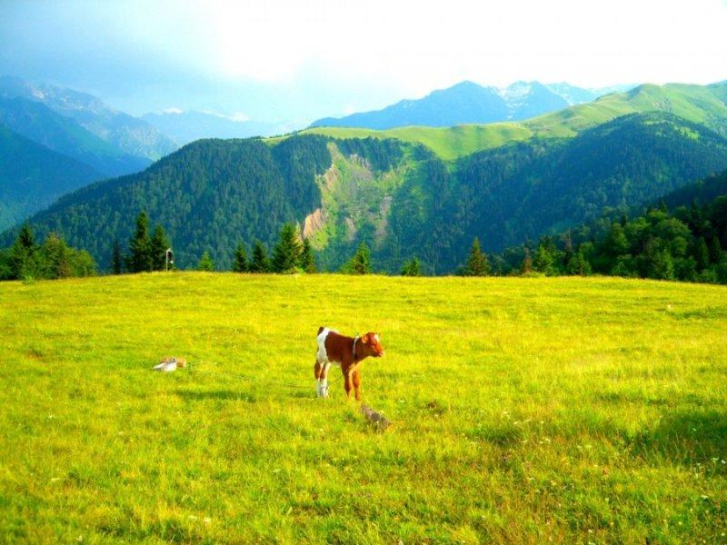 Nefes kesen doğa fotoğrafları 