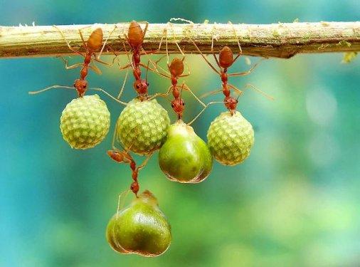 Nefes kesen doğa fotoğrafları 