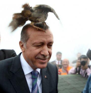 Cumhurbaşkanı'nın resmi fotoğrafçısından özel kareler