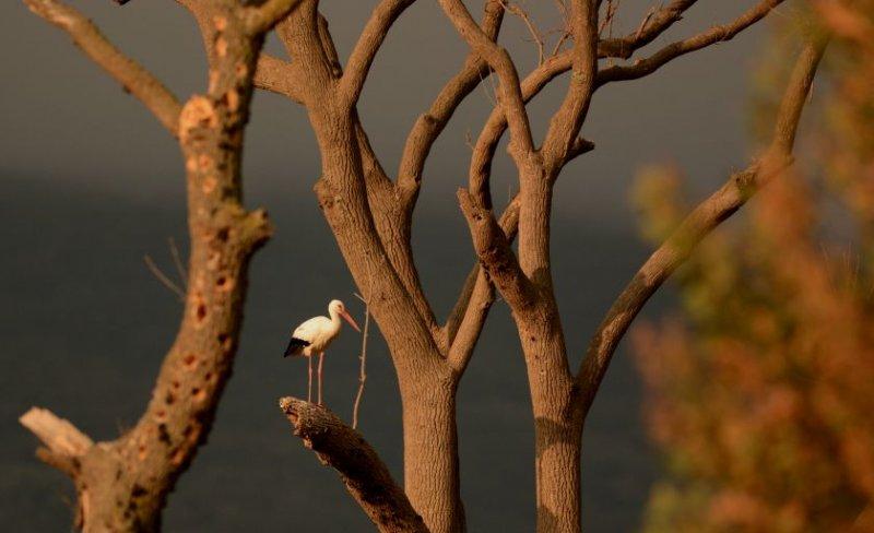 Nefes kesen doğa fotoğrafları 