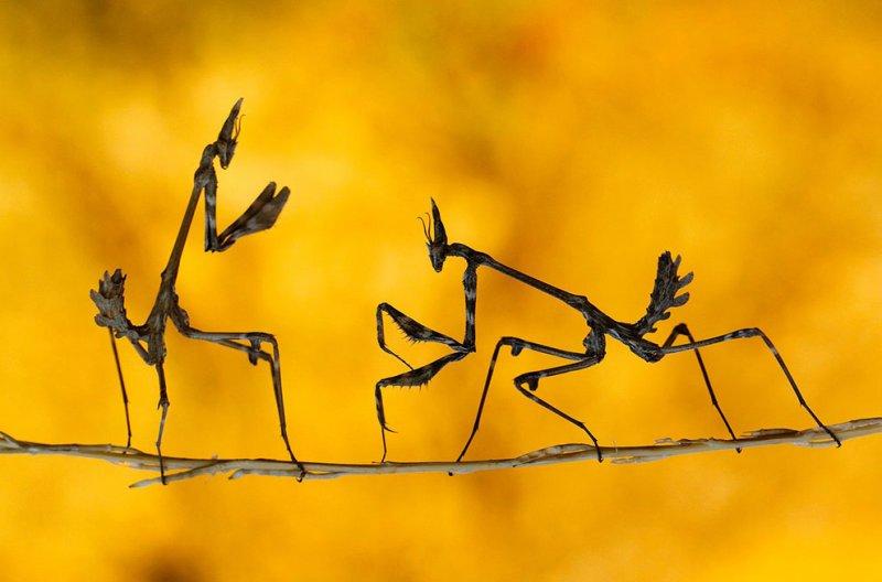 Nefes kesen doğa fotoğrafları 