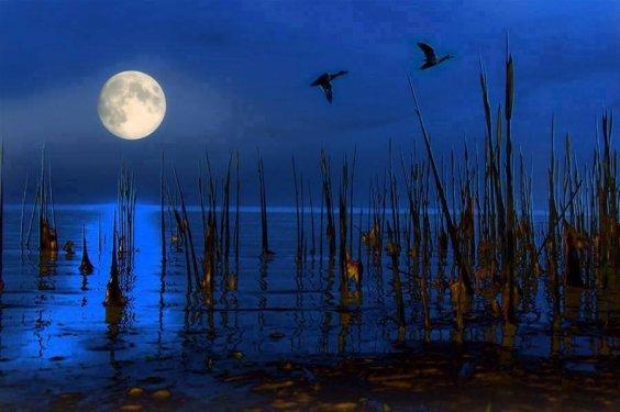 Nefes kesen doğa fotoğrafları 