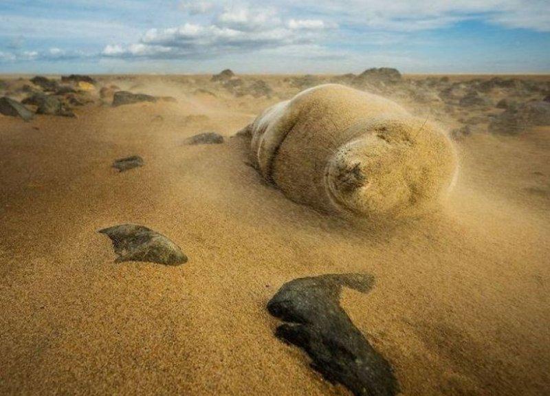 Nefes kesen doğa fotoğrafları 