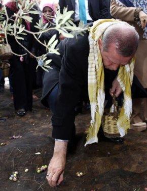 Cumhurbaşkanı'nın resmi fotoğrafçısından özel kareler