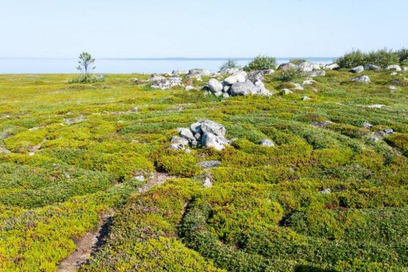 İnsan gücünü zorlayan 11 mimari yapı 