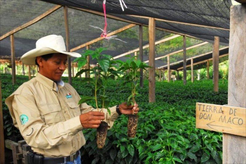 Dünyanın en pahalı 10 kahvesi