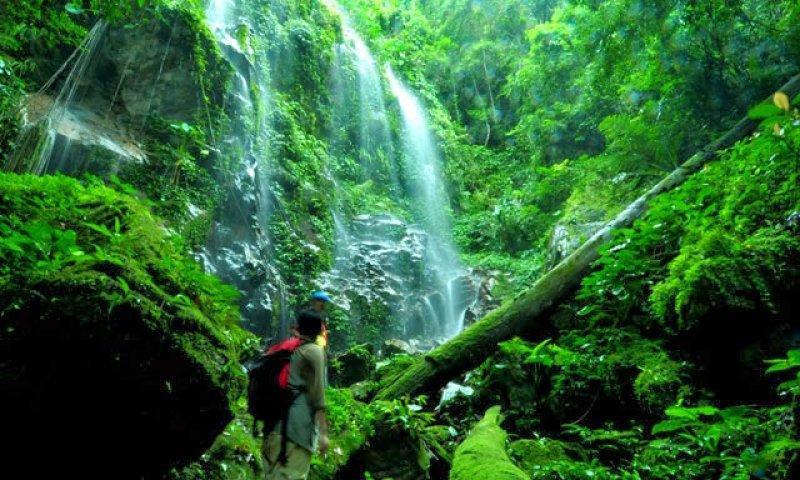 Yağmur Ormanları’nda gizlenmiş Tikal Antik Kenti