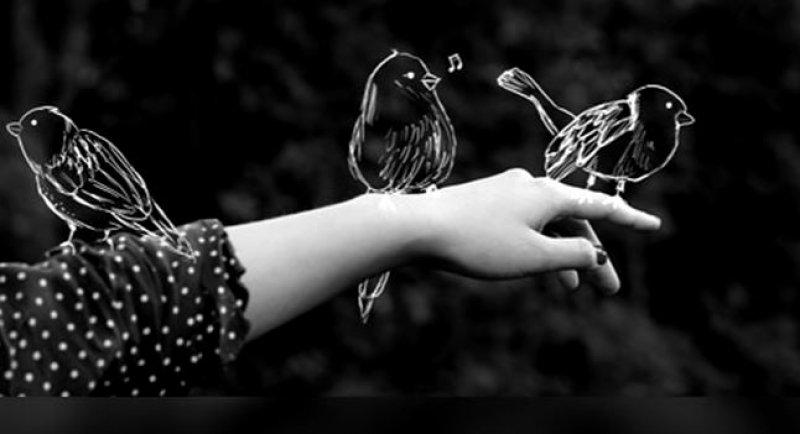 Hayvanlar tarafından yetiştirilen 5 çocuk