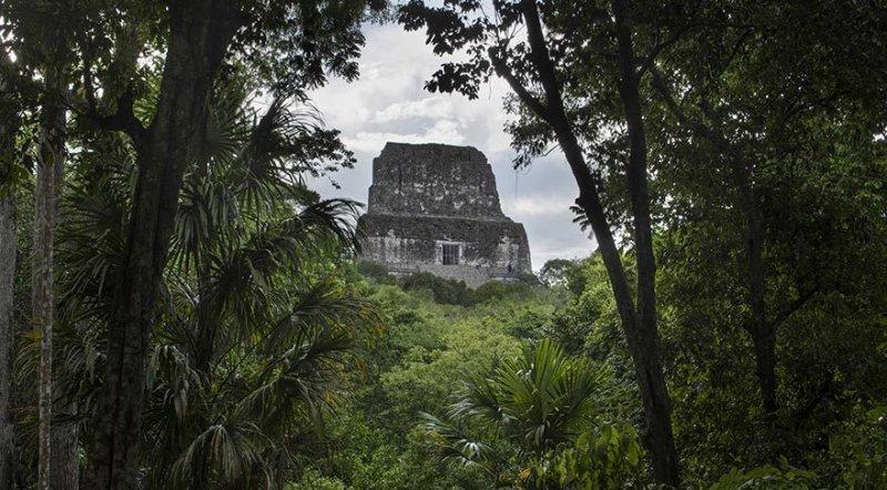 Yağmur Ormanları’nda gizlenmiş Tikal Antik Kenti