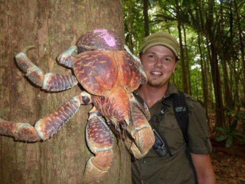 Guinness Rekorlar Kitabı giren dünyanın en büyükleri