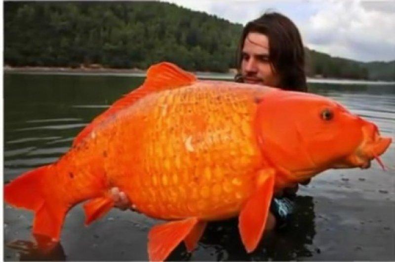 Guinness Rekorlar Kitabı giren dünyanın en büyükleri