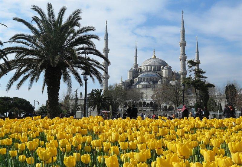 İstanbul'da laleler çiçek açtı