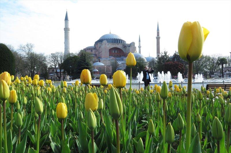İstanbul'da laleler çiçek açtı