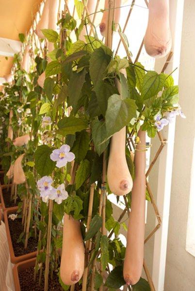 Görüntüsüyle şaşkınlık yaratan 10 bitki 