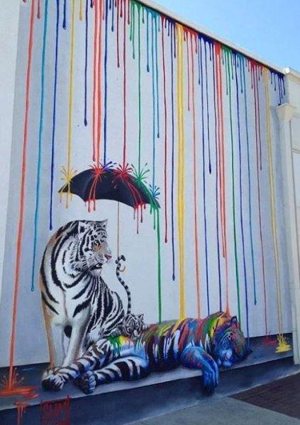 En güzel sokak resimleri 