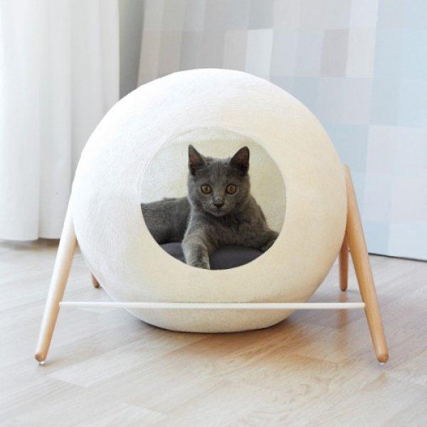 Kediler için tasarlanan muhteşem daire 