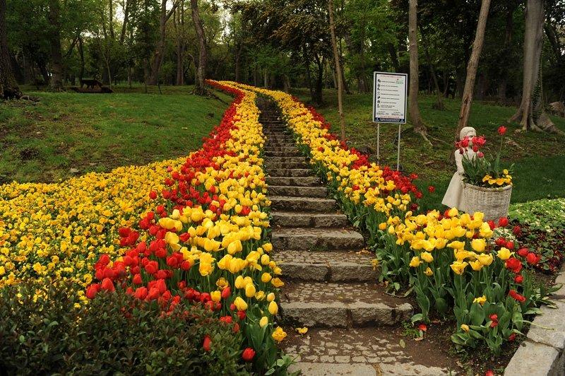 İstanbul’un en iyi 8 parkı belirlendi 