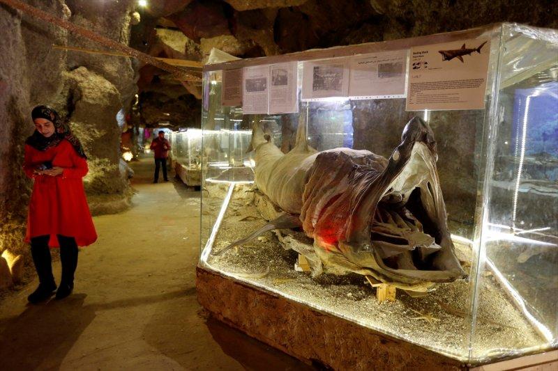 Lübnan'da 35 yıllık emeğin ürünü: Deniz Hayatı Müzesi