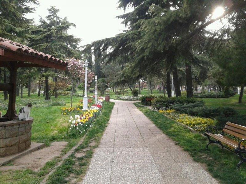 İstanbul’un en iyi 8 parkı belirlendi 