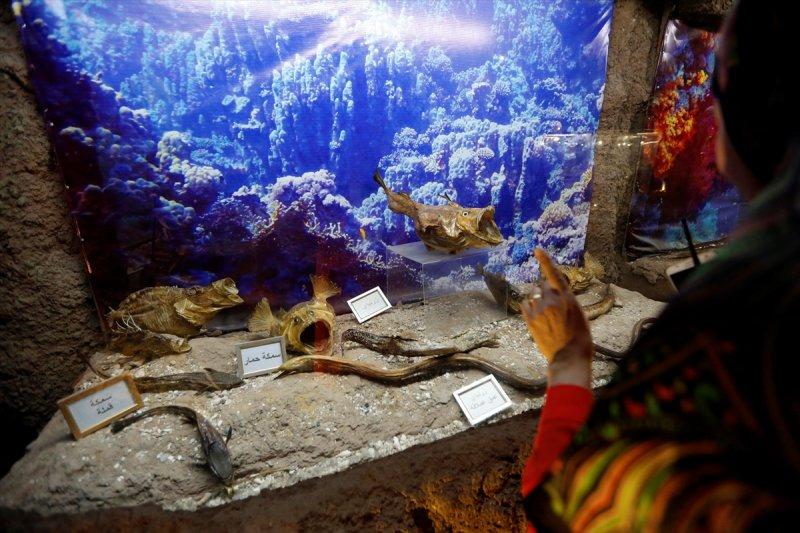 Lübnan'da 35 yıllık emeğin ürünü: Deniz Hayatı Müzesi