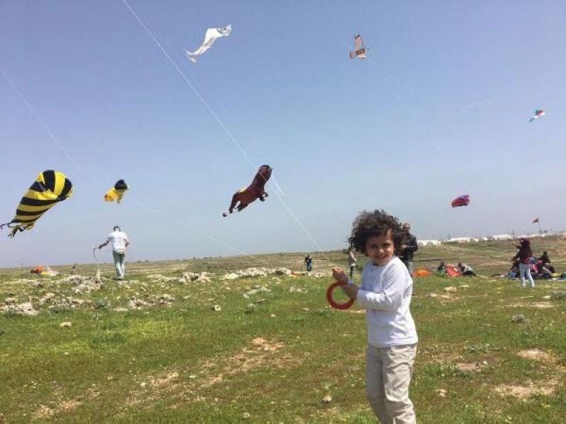 Mardin 'Uçurtma Festivali''nden renkli görüntüler
