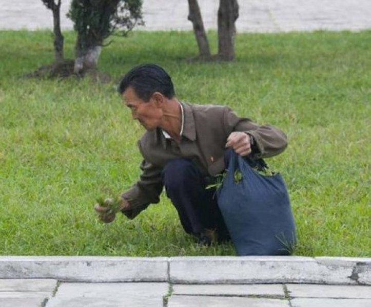 Kuzey Kore lideri Kim Jong Un'un gizli cenneti