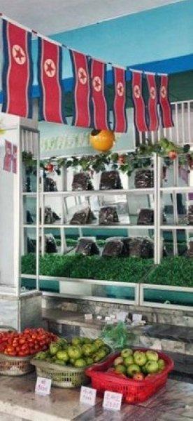 Kuzey Kore lideri Kim Jong Un'un gizli cenneti