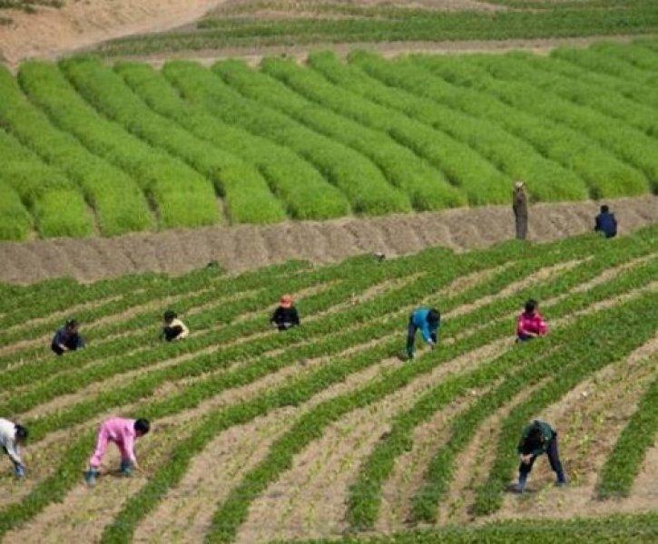 Kuzey Kore lideri Kim Jong Un'un gizli cenneti