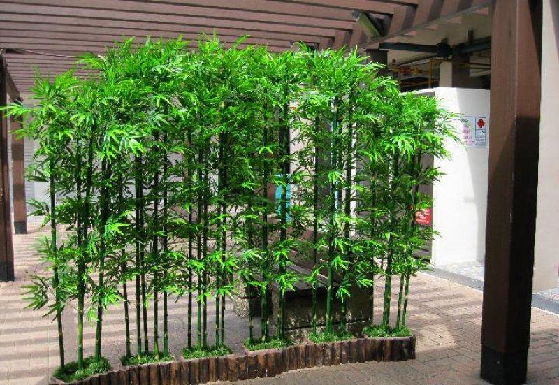 Bambu dekorasyonu şıklığı